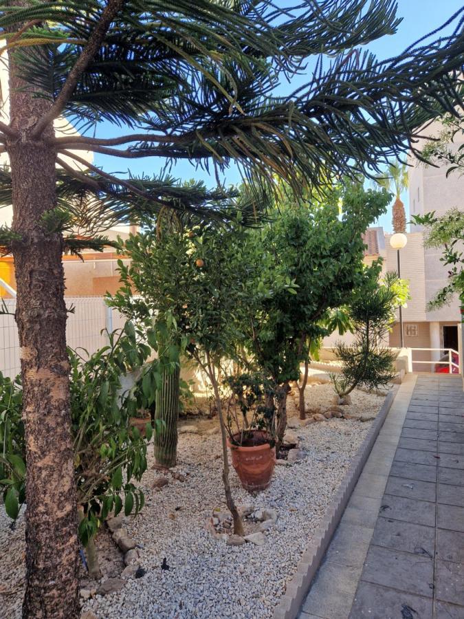 Magnifico Chalet Adosado En Torrevieja, Alicante. Dış mekan fotoğraf